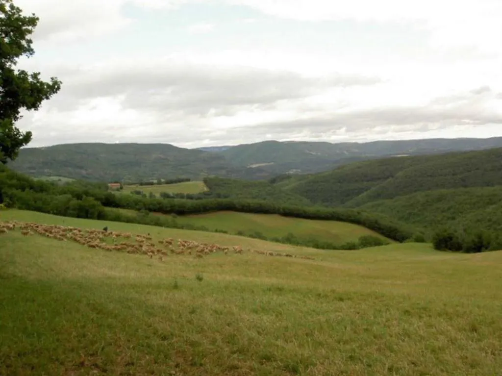 Gite L'Oustal Occitan A Saint-Juery 0*, Saint-Juéry